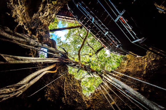 Nat Geo Day Tour : Explorez le monde souterrain et la culture maya