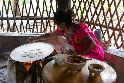 Nat Geo Day Tour: Journey to the Underworld, Maya Culture Through Cenotes