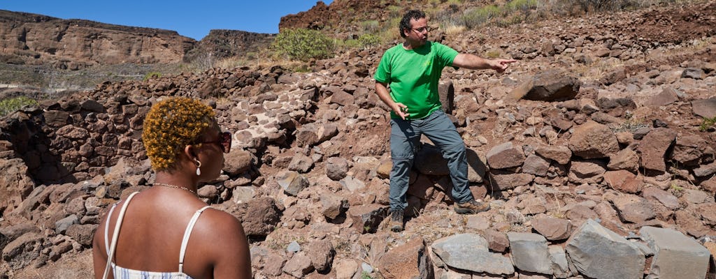 Nat Geo Day Tour : Percez les mystères des Guanches avec un archéologue