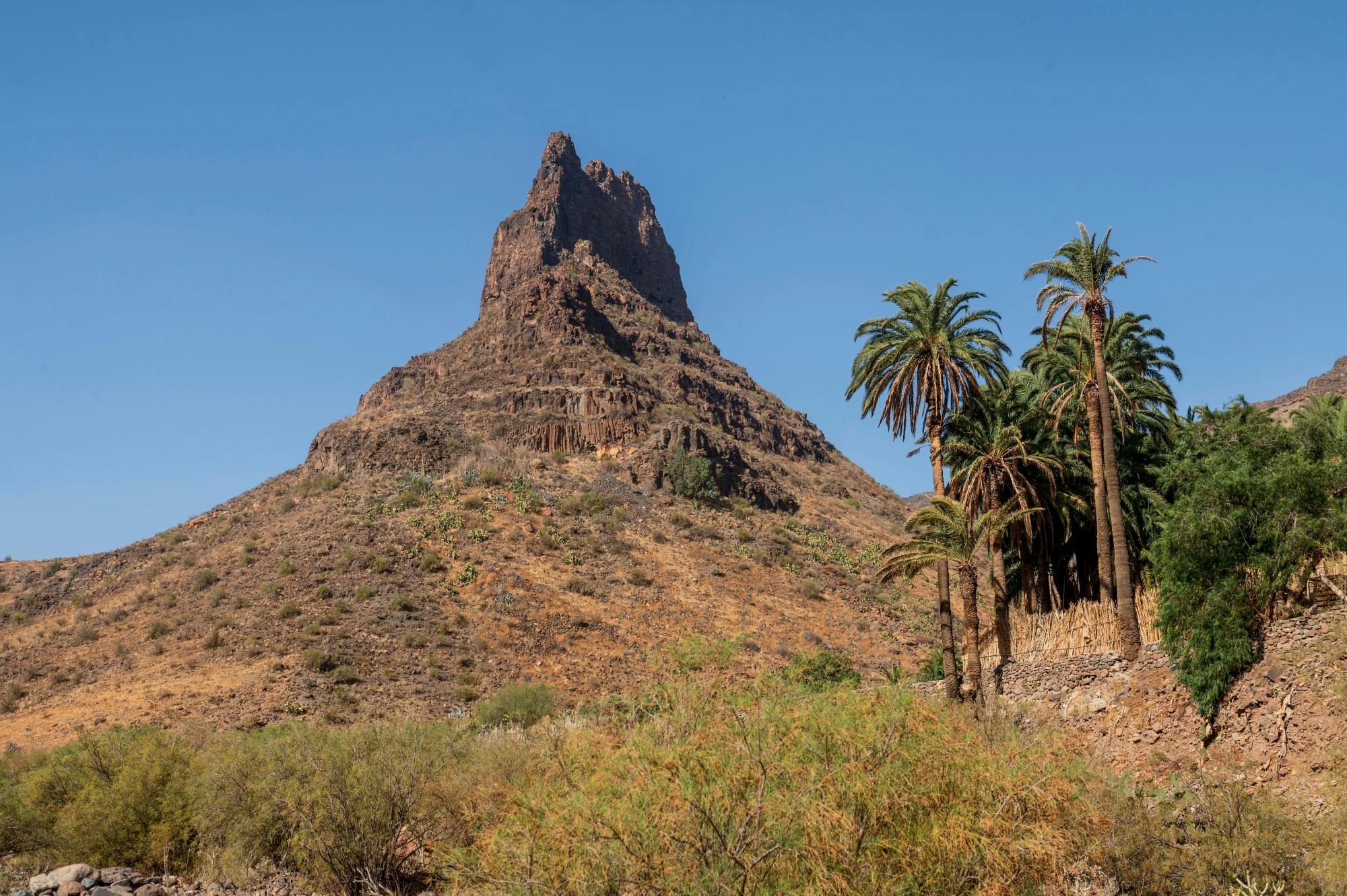 Nat Geo Day Tour: Guanches Mysteries Unearthed with an Archaeologist