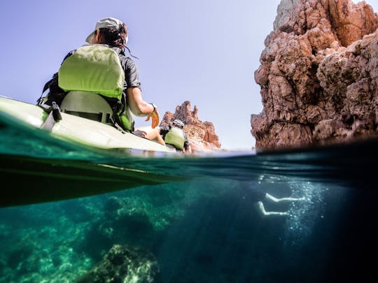 Nat Geo Day Tour : Trésors marins de Majorque, la Posidonia Oceanica
