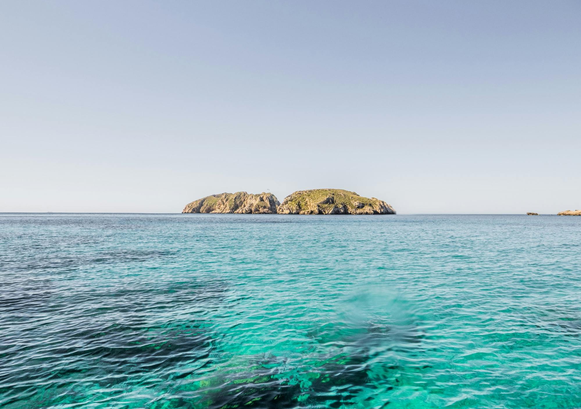 Nat Geo Day Tour: Marine Treasures of Mallorca, the Posidonia Oceanica