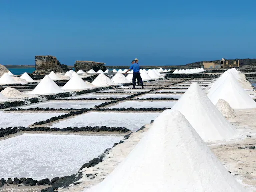 Nat Geo Day Tour: Volcanic Beauty of Lanzarote, Photography Tour