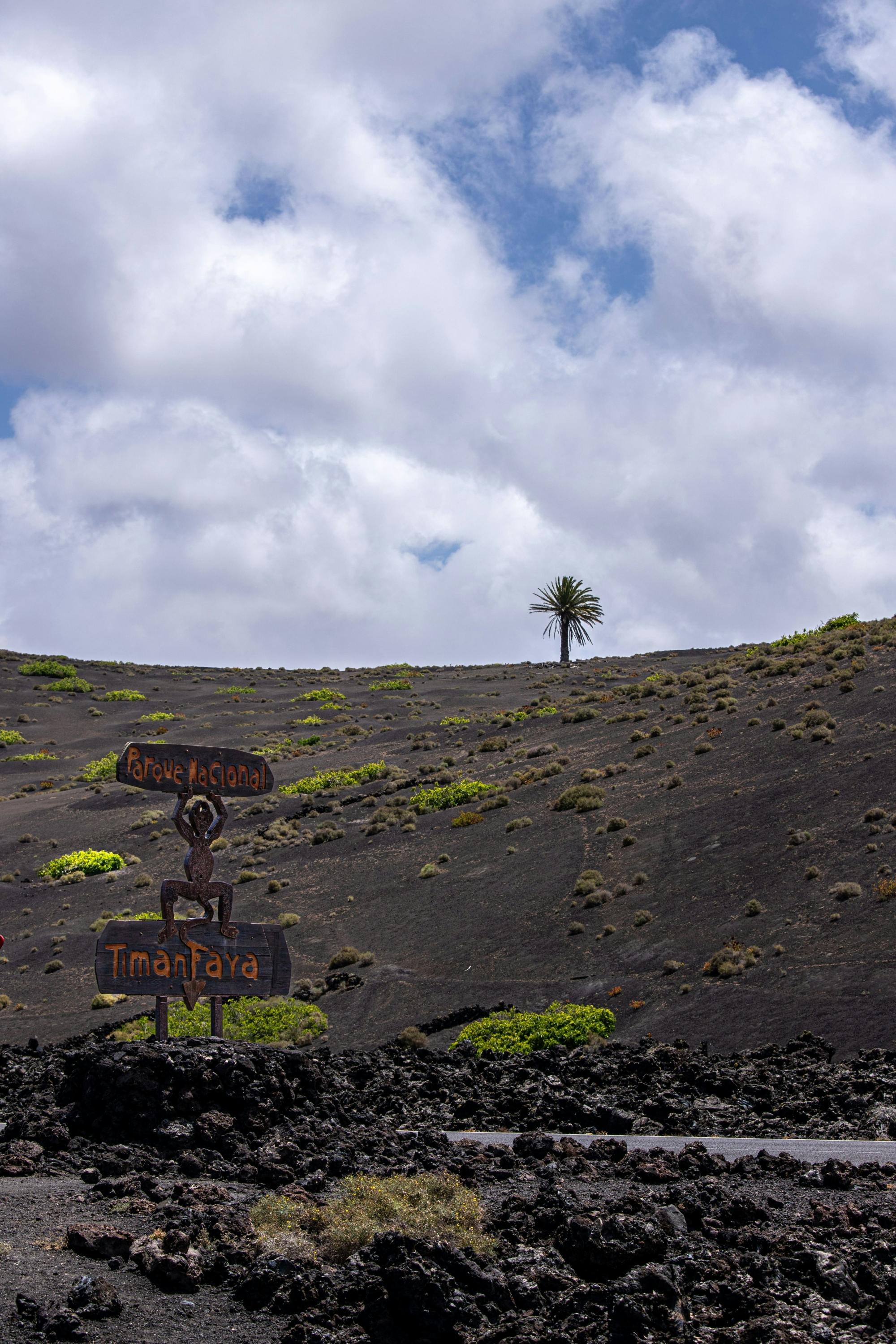 Nat Geo Day Tour: Volcanic Beauty of Lanzarote, Photography Tour