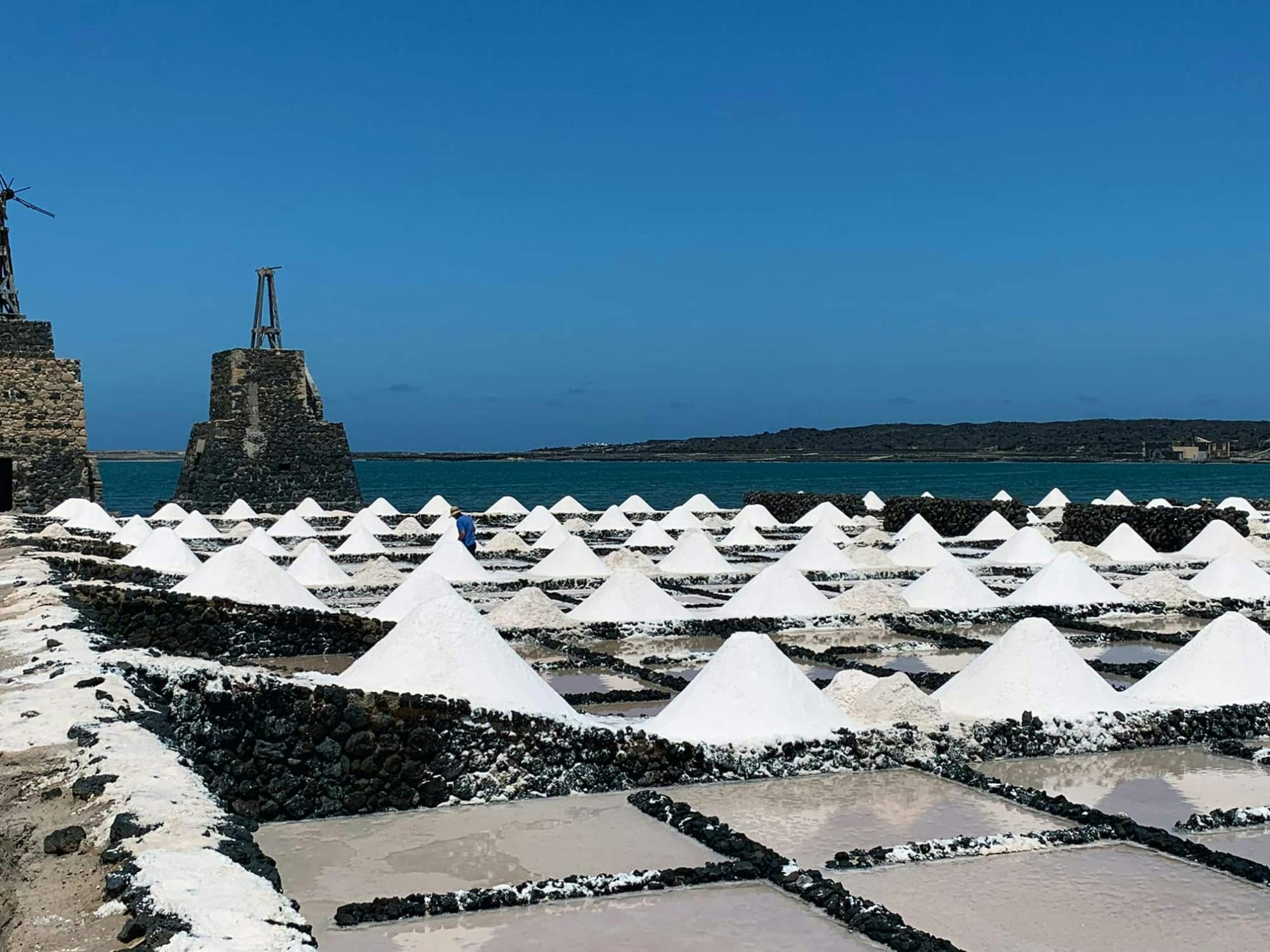 Nat Geo Day Tour: Volcanic Beauty of Lanzarote, Photography Tour