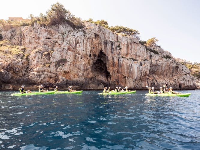 Nat Geo Day Tour: Marine Treasures of Mallorca, the Posidonia Oceanica