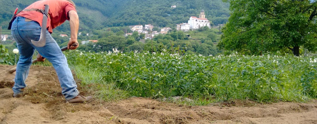 Excursão de um dia pela Nat Geo: uma degustação de Tramonti e uma experiência de preparação de pizza.