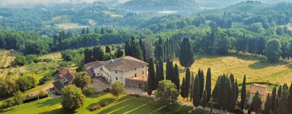 Nat Geo Day Tour: De geheimen van Toscaanse olijfolie