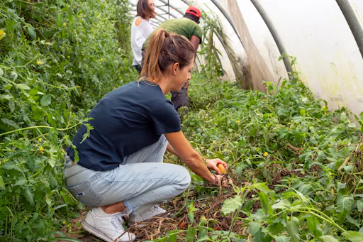 Nat Geo Day Tour: A Green and Inclusive Sanctuary in Milan