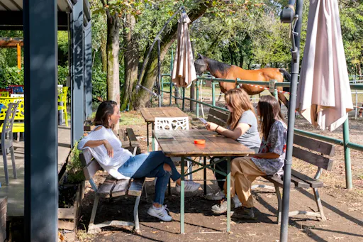 Nat Geo Day Tour: A Green and Inclusive Sanctuary in Milan