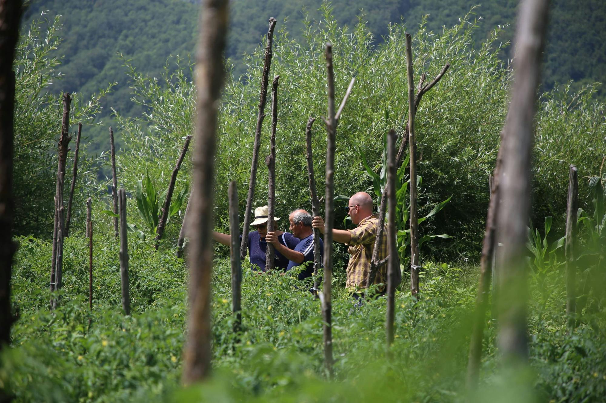 Nat Geo Day Tour: A Taste of Tramonti, Pizza Making and Wine Tasting