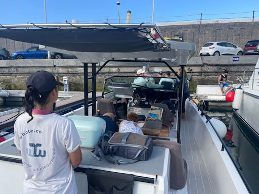 Tenerife Whale & Dolphin Eco Boat Trip