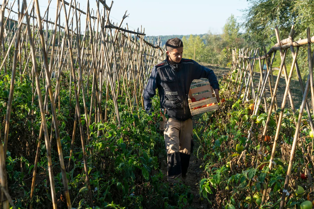 Nat Geo Day Tour: Regenerative Agriculture at Fattoria Triboli
