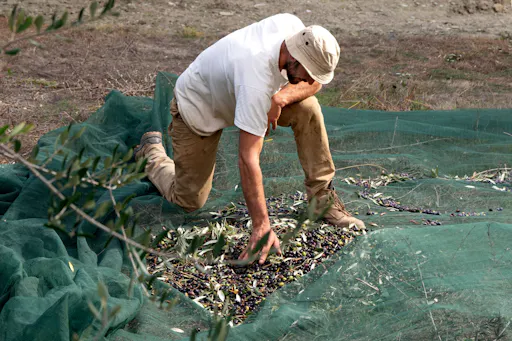 Nat Geo Day Tour: Regenerative Agriculture at Fattoria Triboli