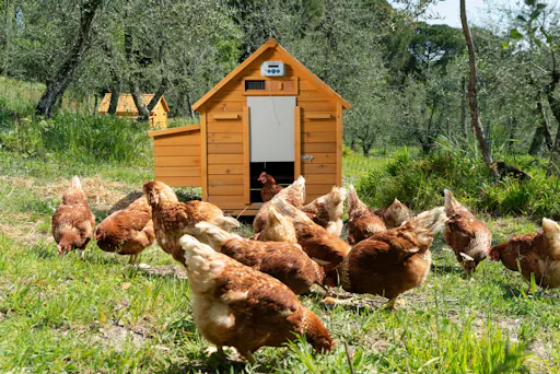 Nat Geo Day Tour: Regenerative Agriculture at Fattoria Triboli
