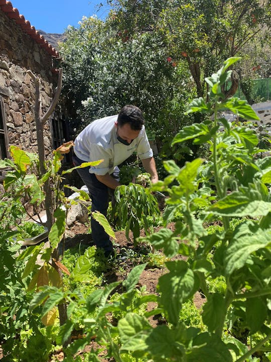 Gran Canaria Culinaire Tour met Tapas, Olijfboerderij en Zoutpannen