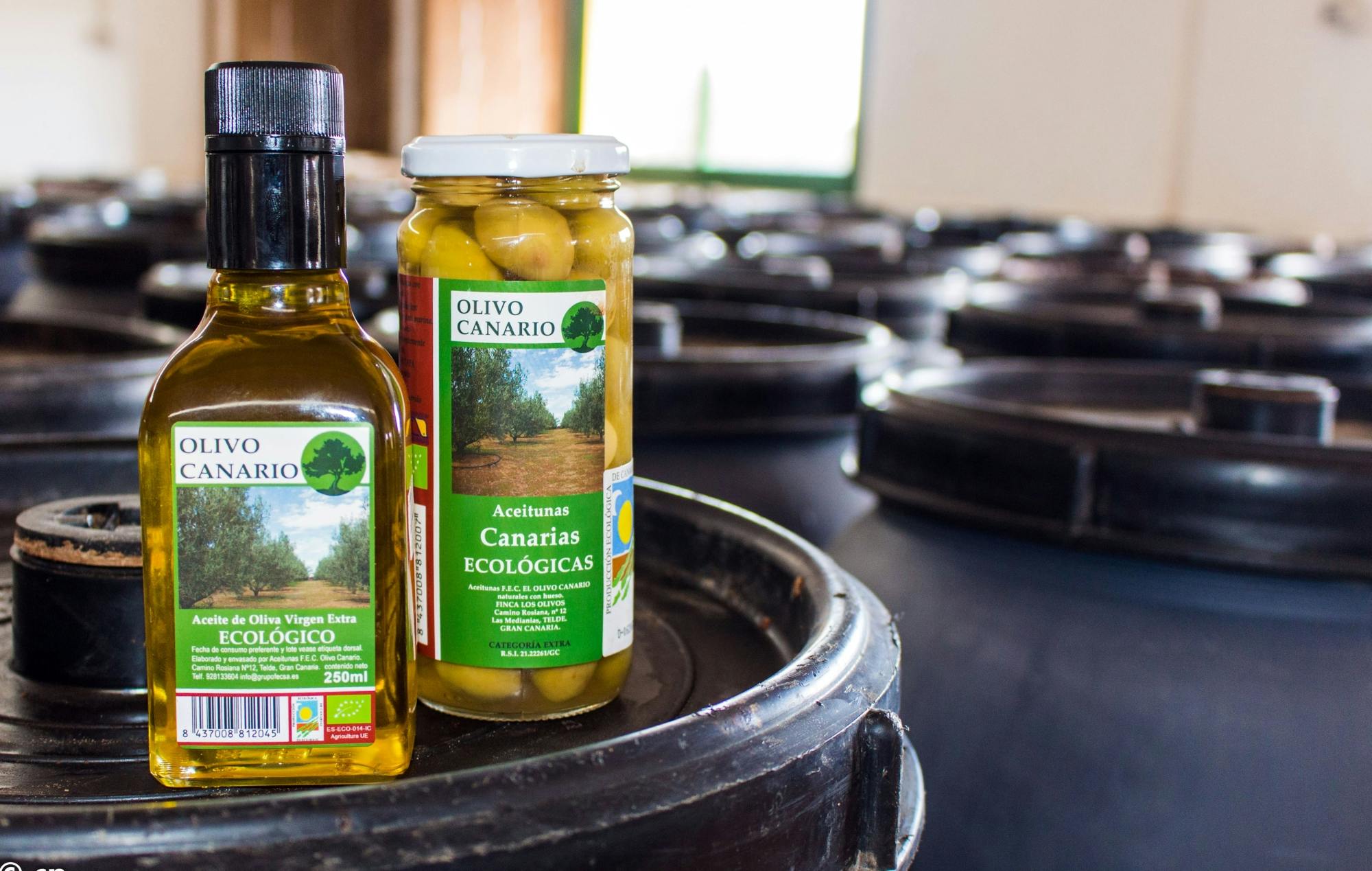 Gran Canaria Food Tour with Tapas, Olive Farm and Salt Pans