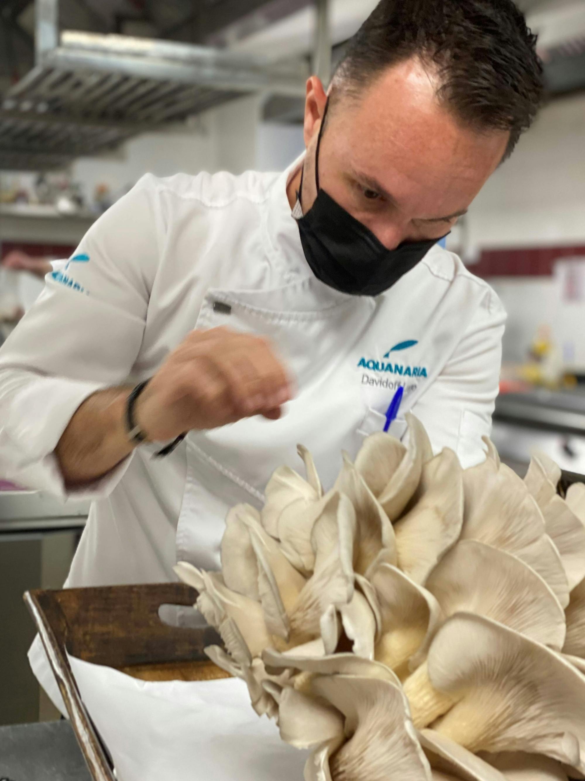 Gran Canaria Food Tour with Tapas, Olive Farm and Salt Pans