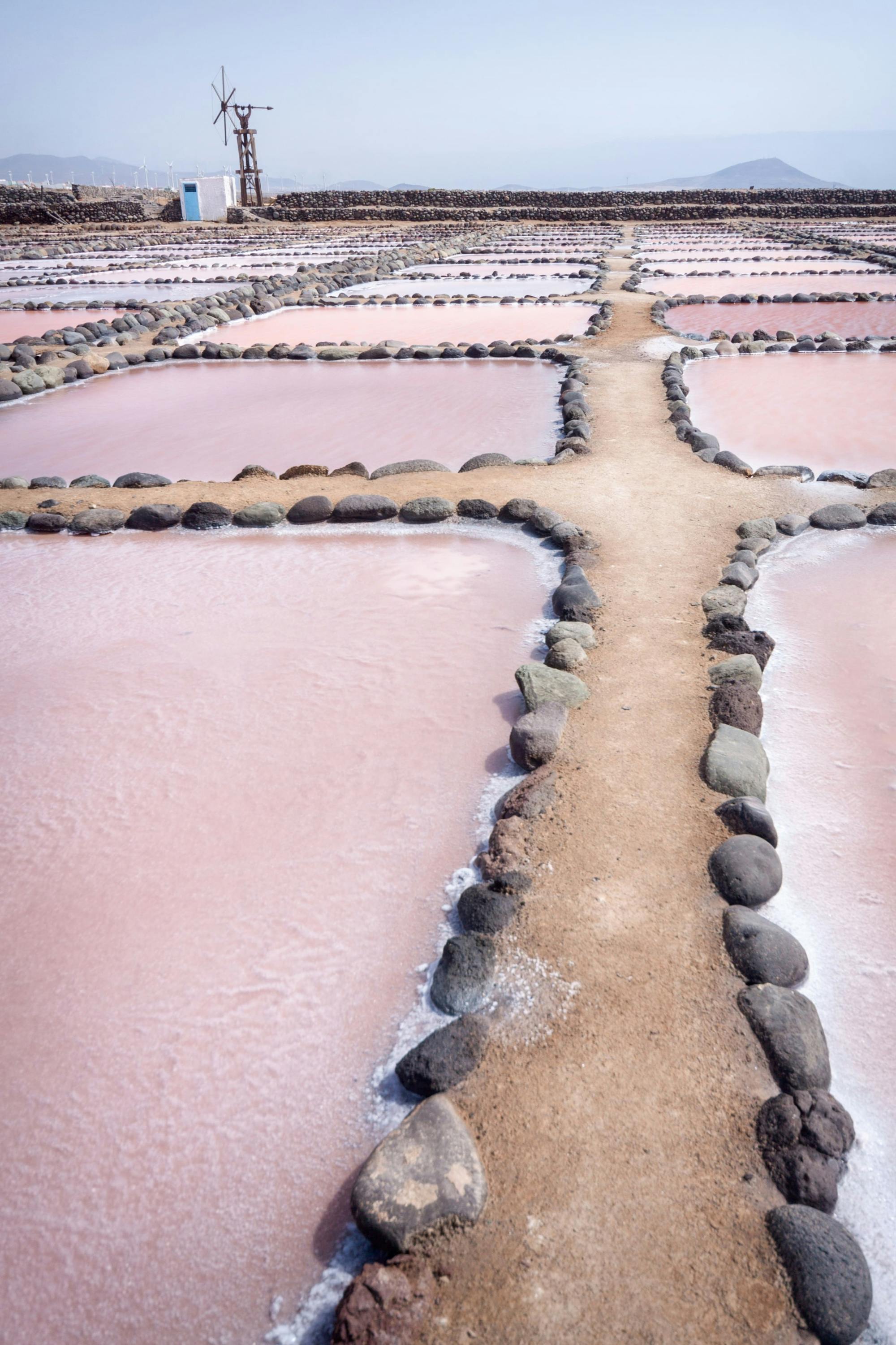 Gran Canaria Food Tour with Tapas, Olive Farm and Salt Pans