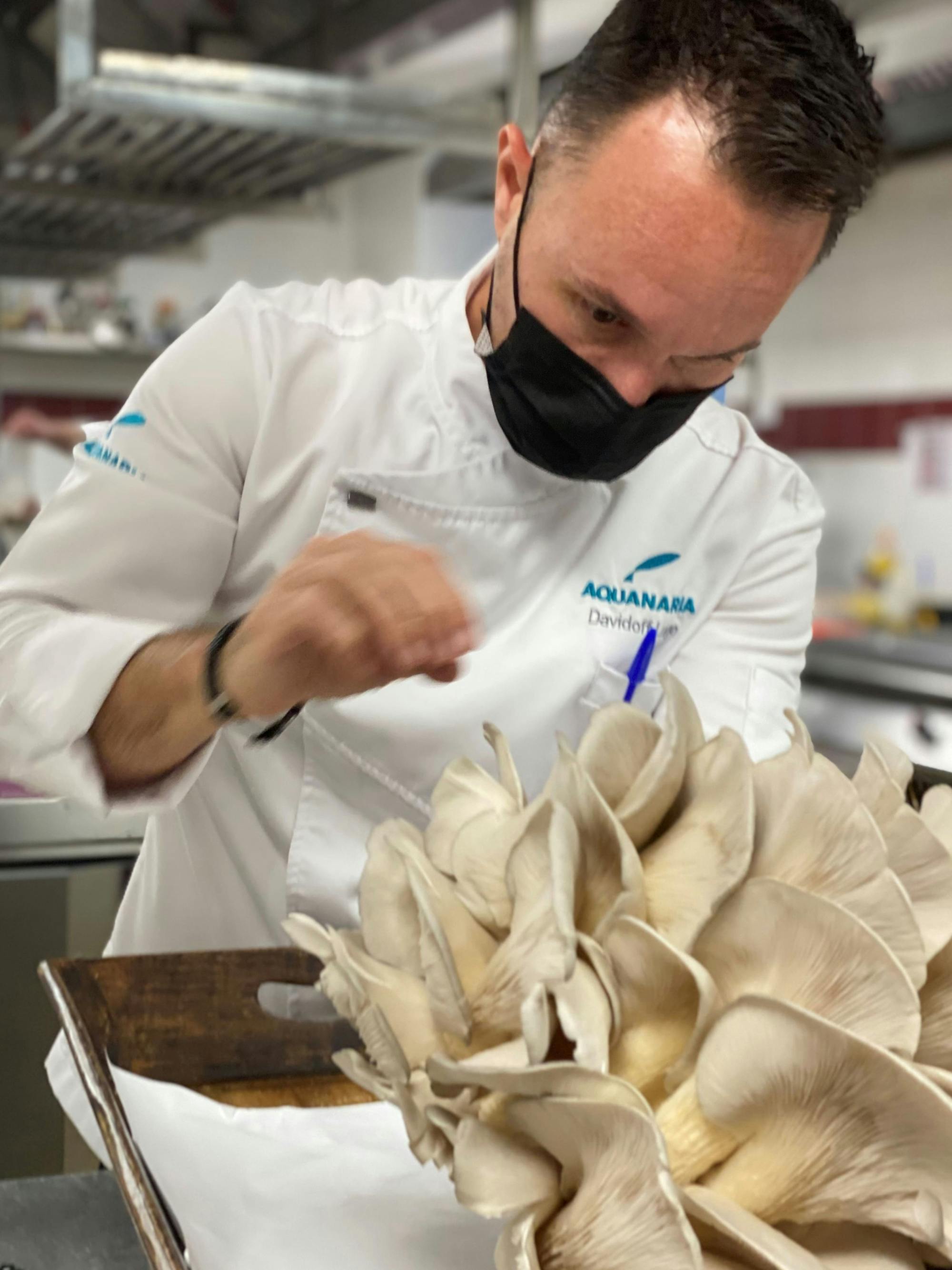 Gran Canaria Food Tour with Tapas, Olive Farm and Salt Pans