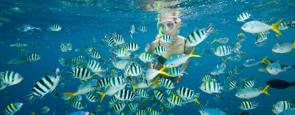 Nat Geo Day Tour: Scopri l'importanza del ripristino della barriera corallina di Cancun
