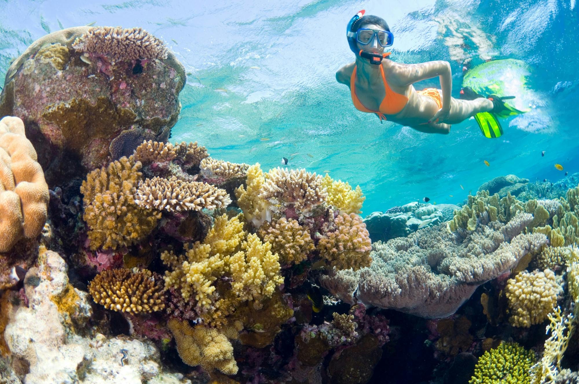 Nat Geo Day Tour: Unveiling the Importance of Cancun’s Reef Restoration