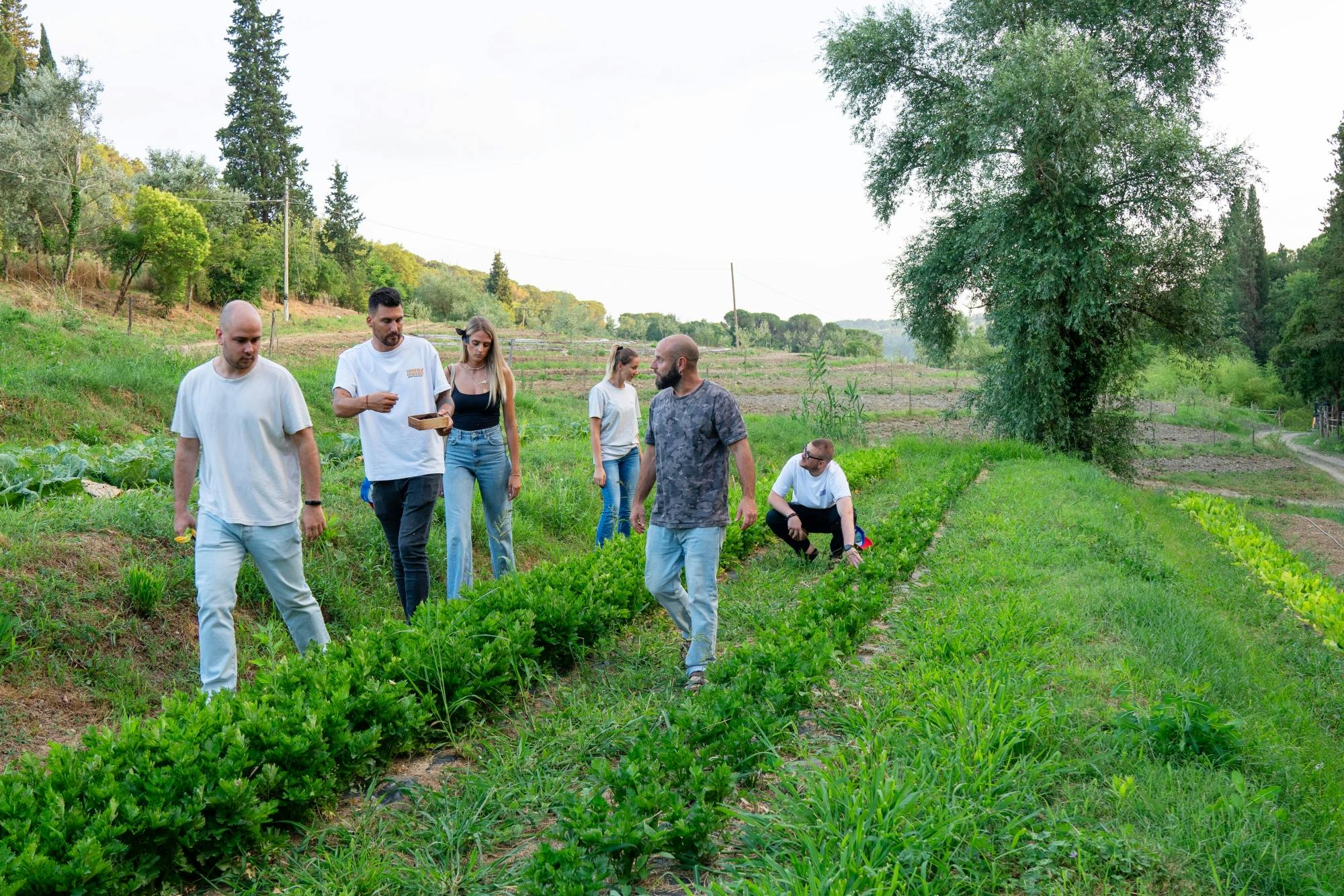Nat Geo Day Tour: Regenerative Agriculture at Fattoria Triboli
