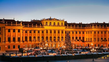 Schönbrunn: mercado navideño, visita al palacio y concierto