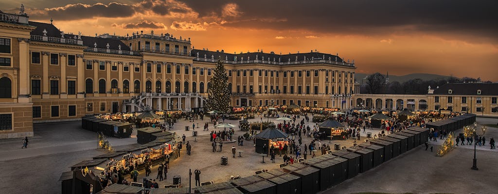 Visita al mercado navideño y concierto de música clásica en el Palacio de Schönbrunn
