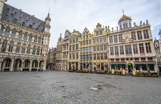 Private exclusive history walk through Brussels with a local expert