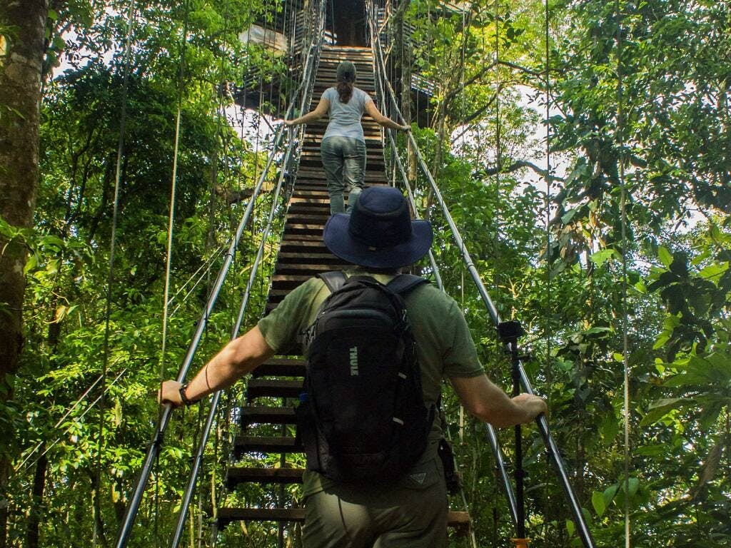 Sensoria Rainforest Hiking Tour