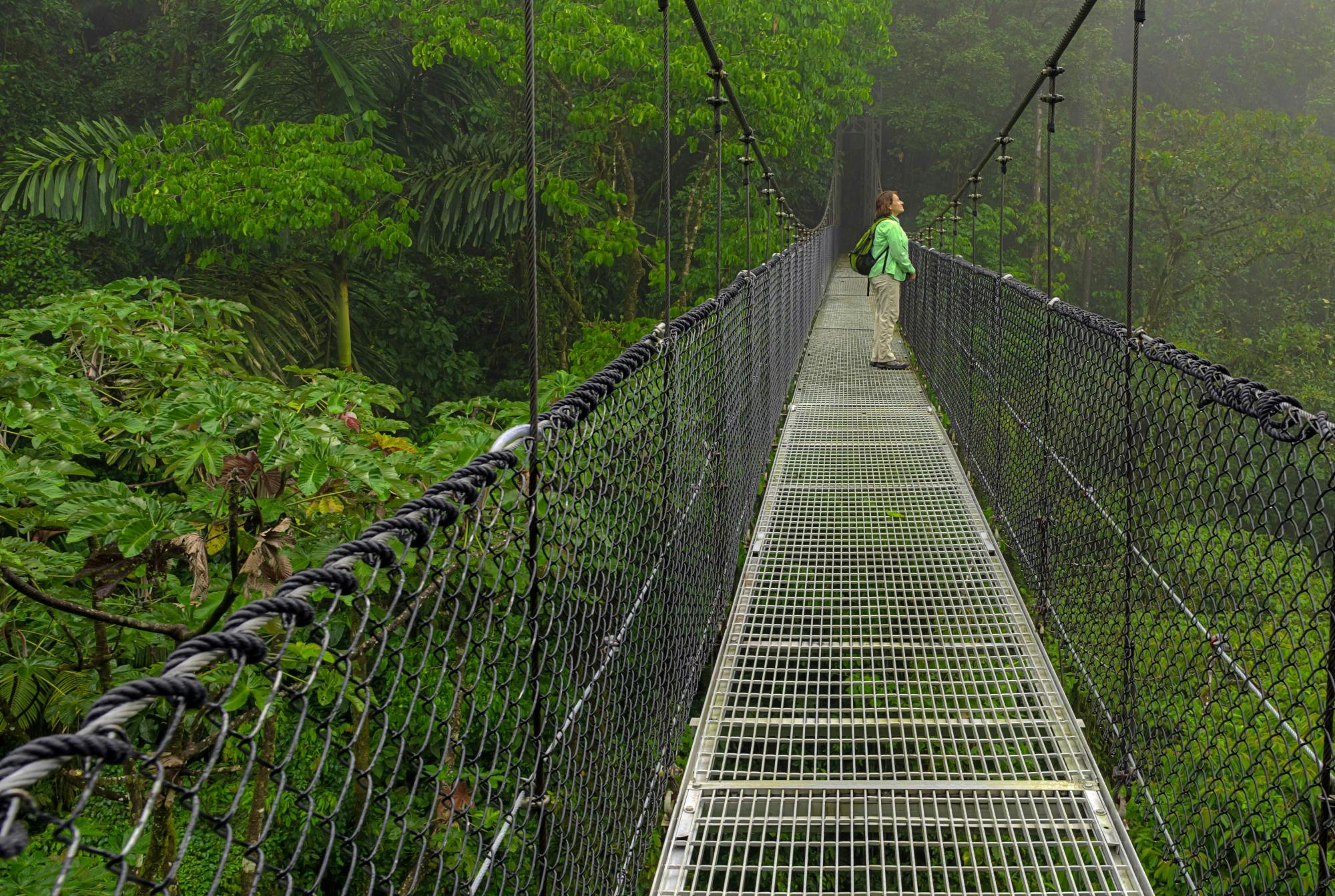 Arenal Mistico Park Hanging Bridges Tour