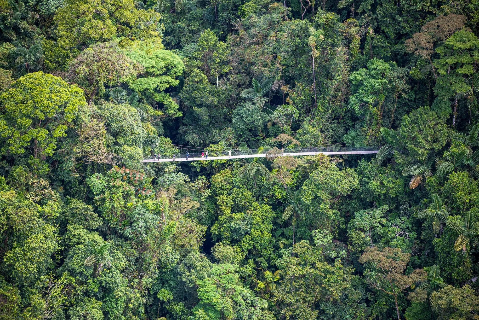 Arenal Mistico Park Hanging Bridges Tour