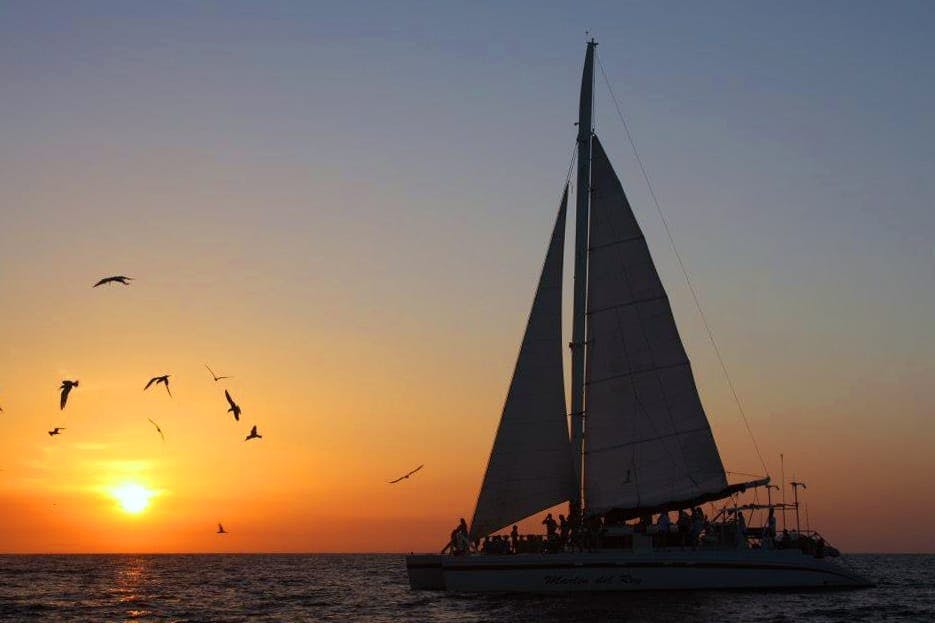 Pura Vida Sunset Cruise