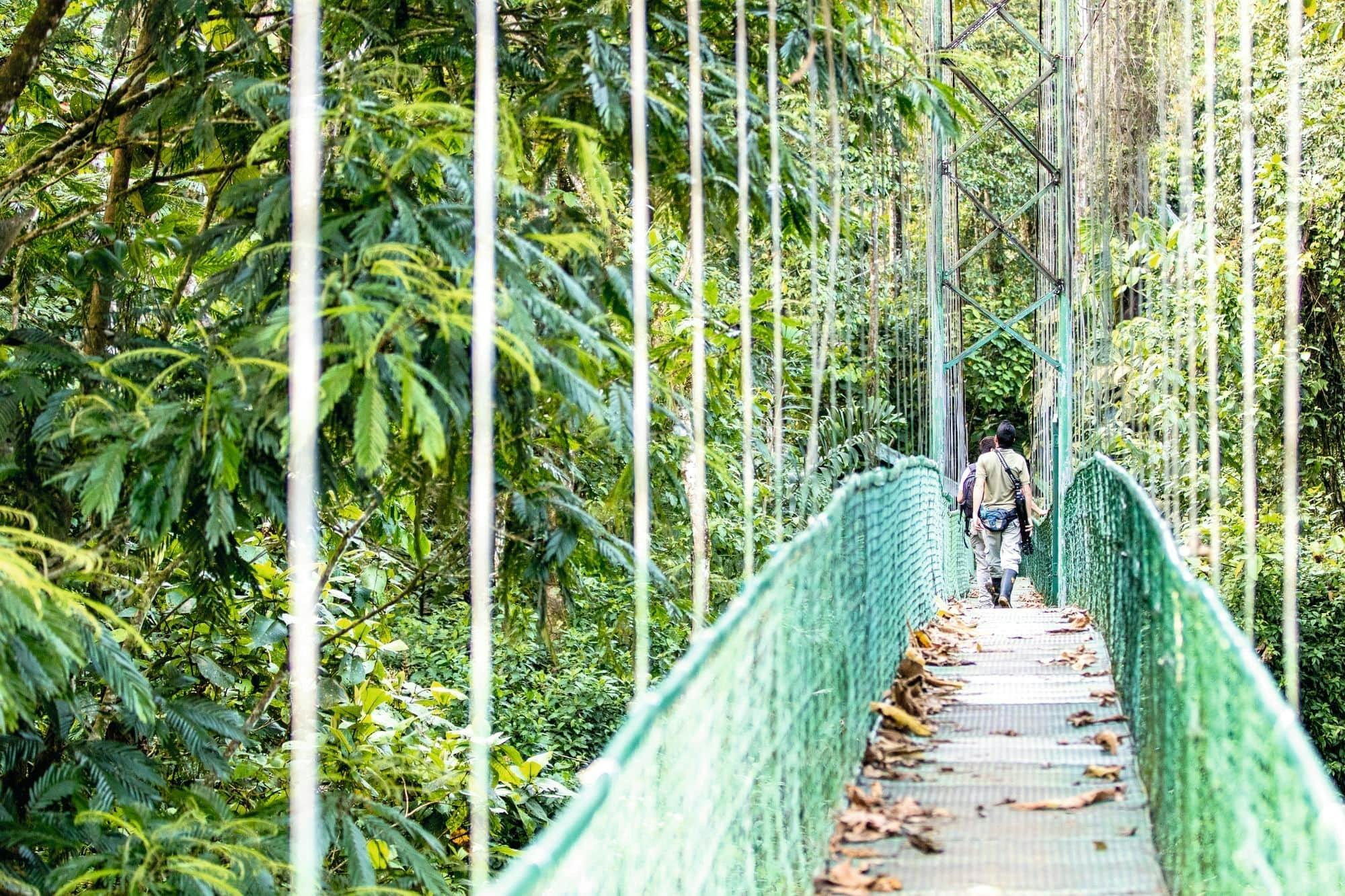 Arenal Mistico Park Hanging Bridges Tour