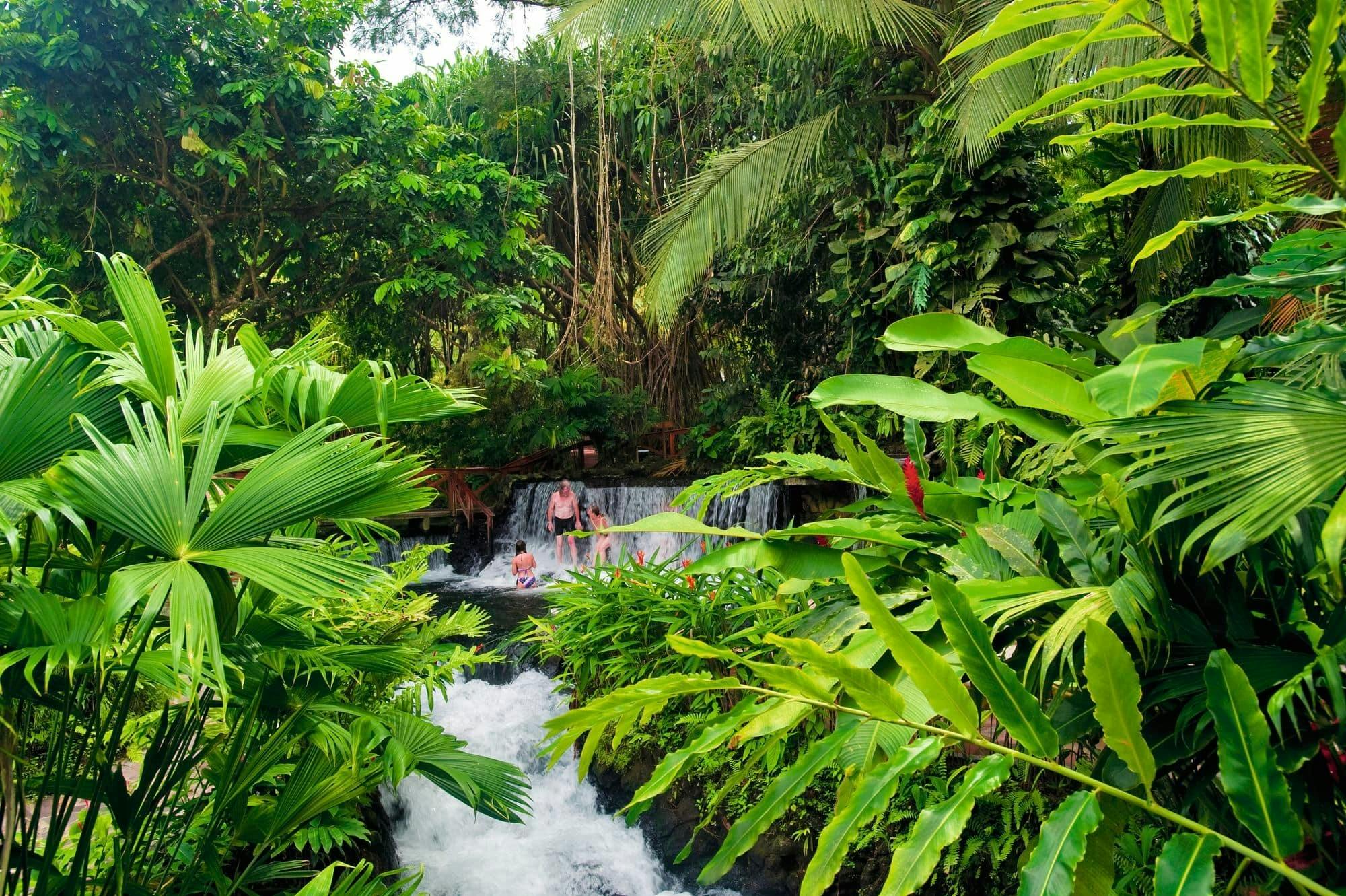 Arenal Mistico Park Hanging Bridges Tour