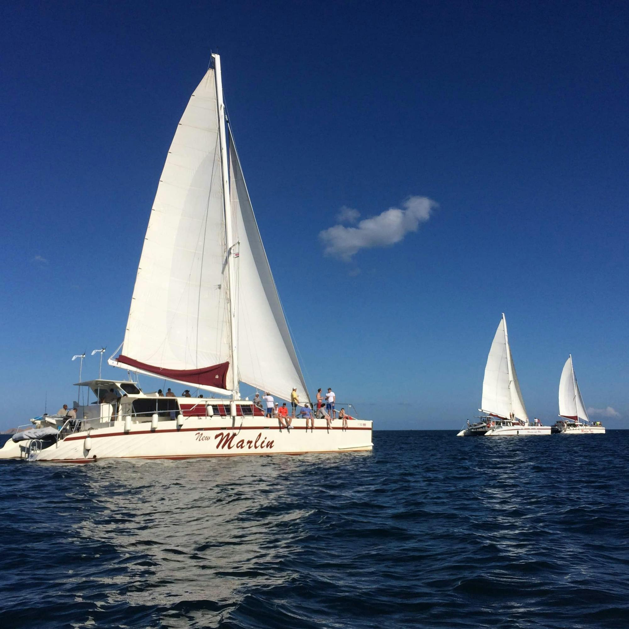 Pura Vida Sunset Cruise