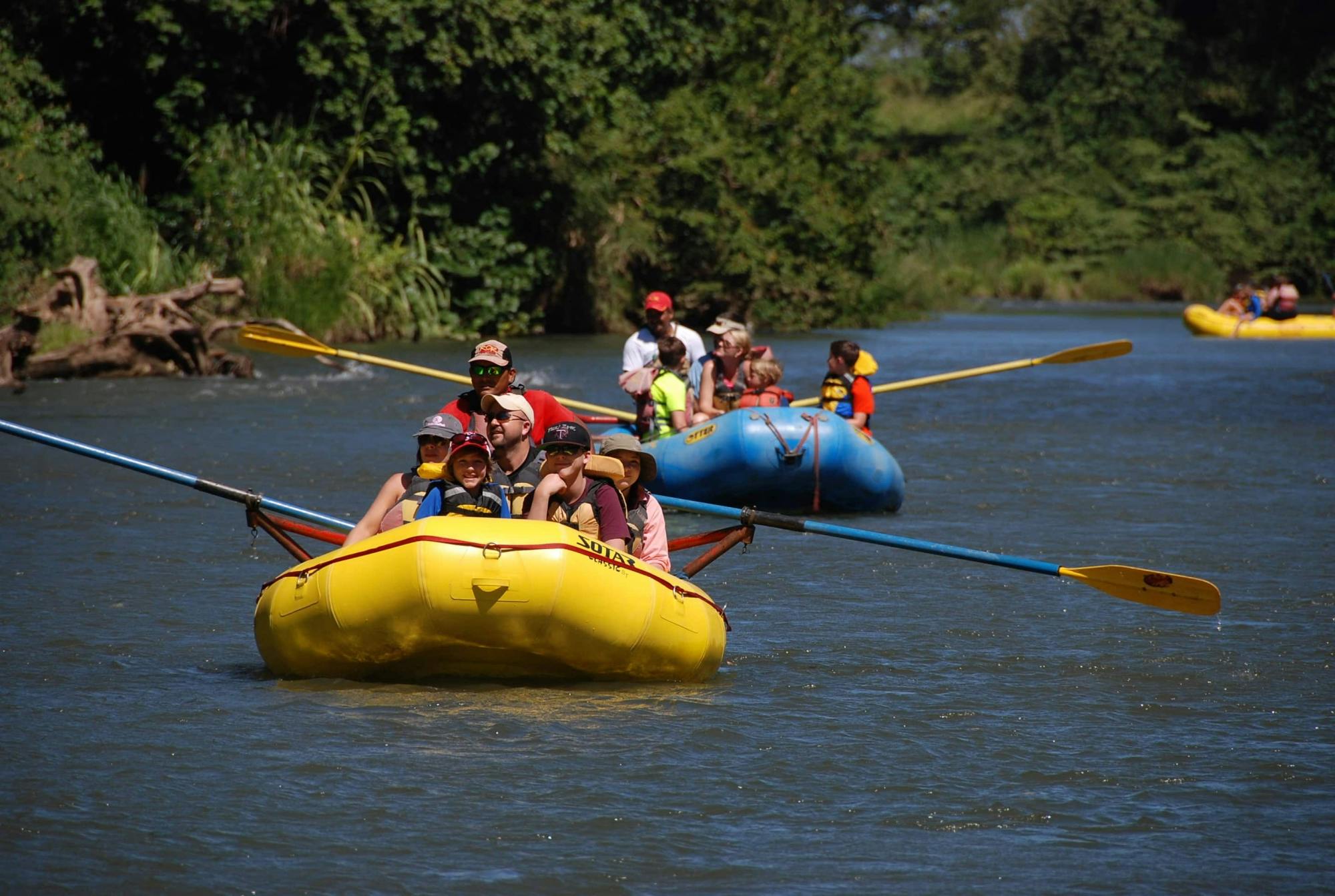 Guanacaste Wildlife Tour