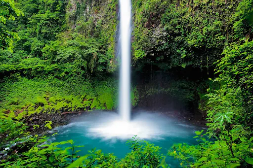 Tenorio Volcano National Park Hiking Tour with Sloth Encounter