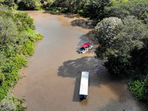 Palo Verde River Ride