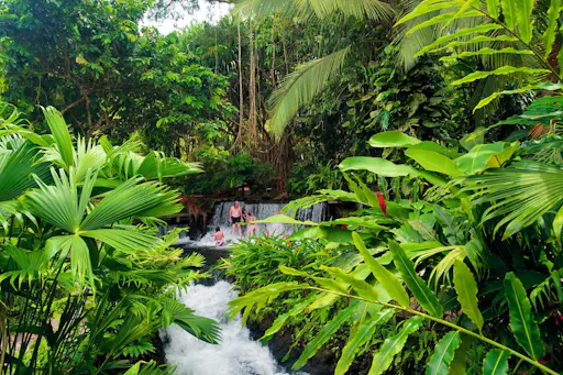 Arenal Mistico Park Hanging Bridges Tour