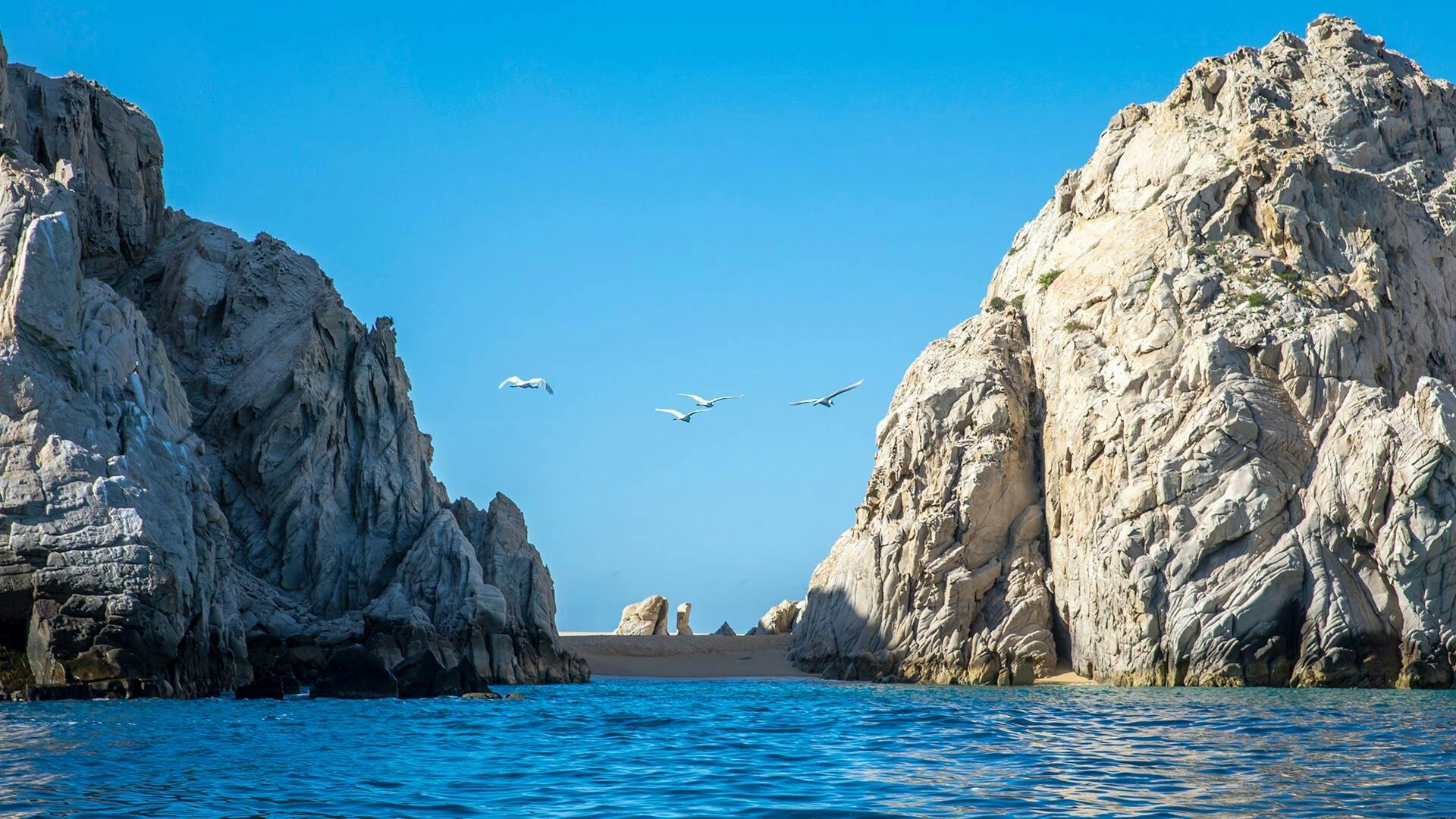 Sea of Cortez Snorkelling Boat Cruise