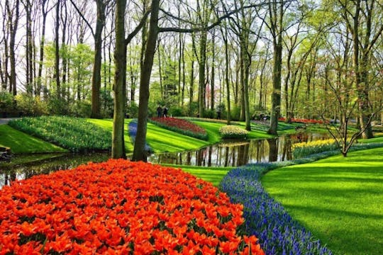 Private Sightseeing Tour to the Keukenhof, Windmills and Cheese Farm