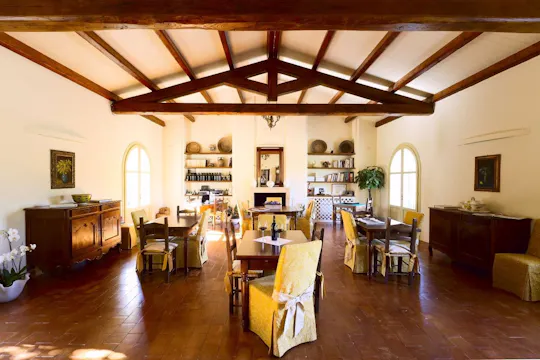 Wine and Olive Oil Tasting at a Local Farm