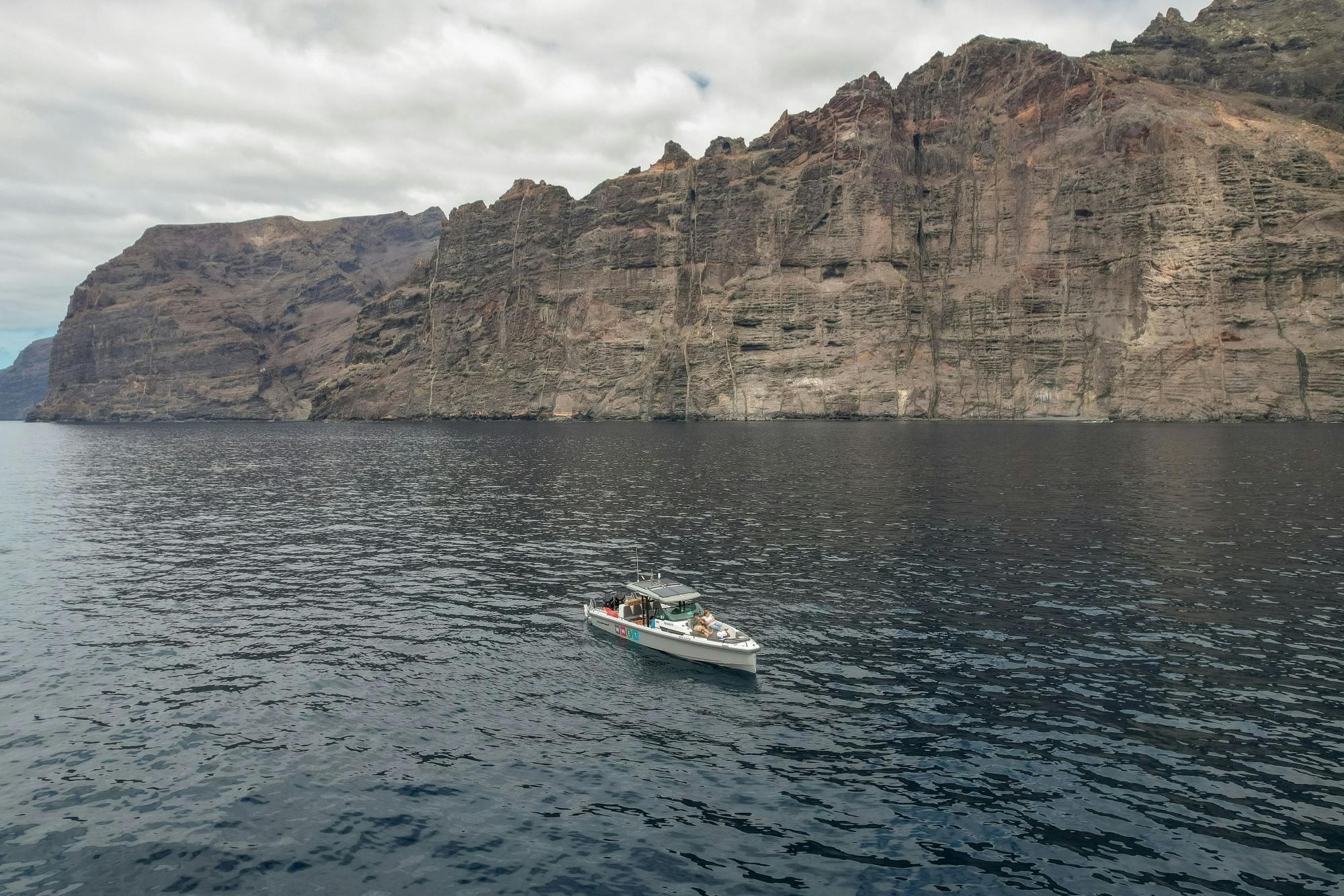 Tenerife Whale & Dolphin Eco Boat Trip