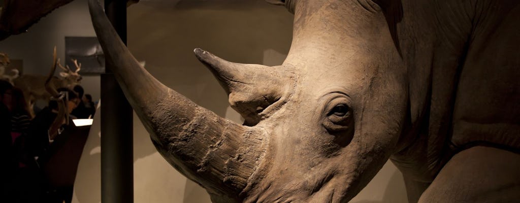 National Museum of Scotland In-App Audio Guided Tour