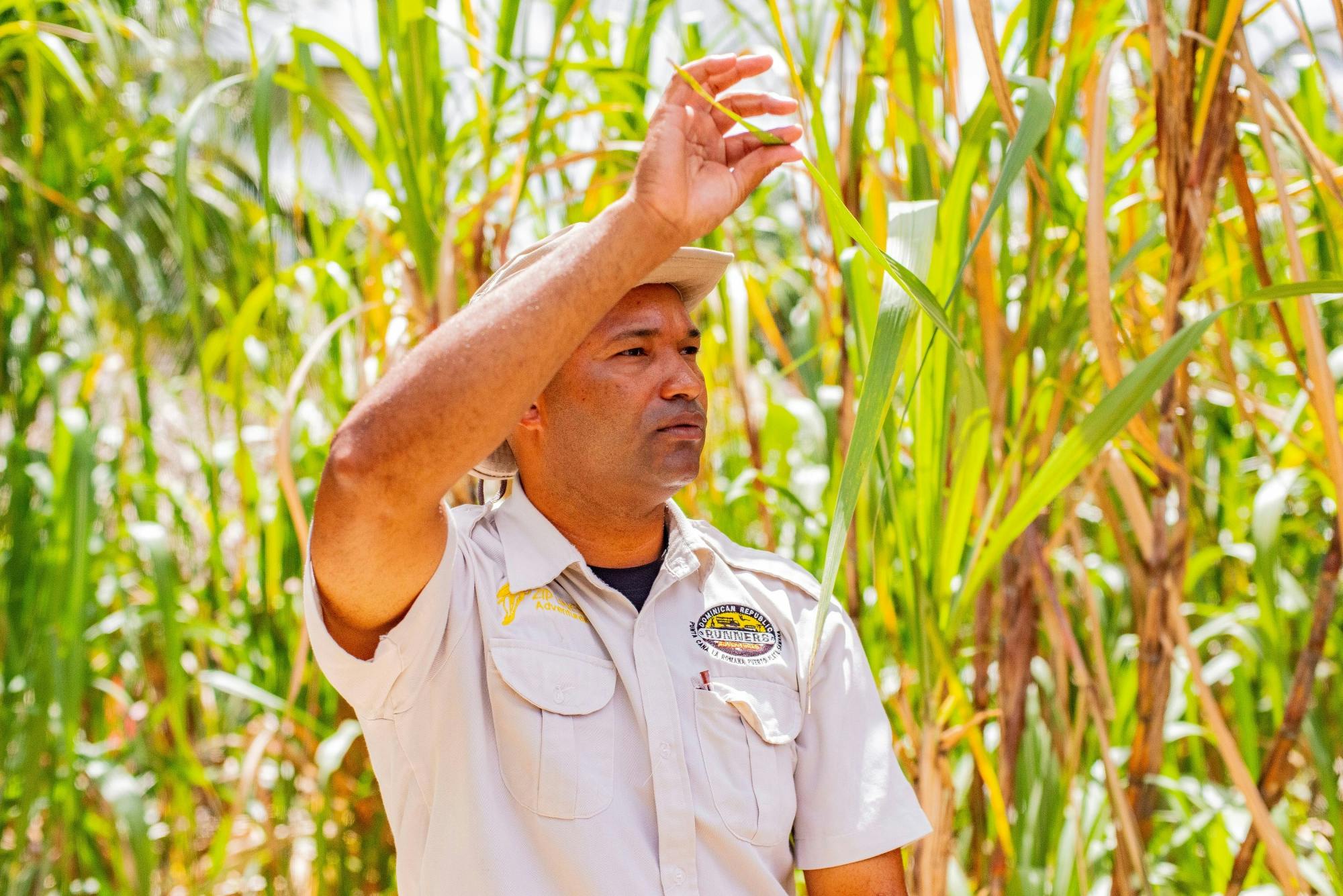 Tour della campagna dominicana