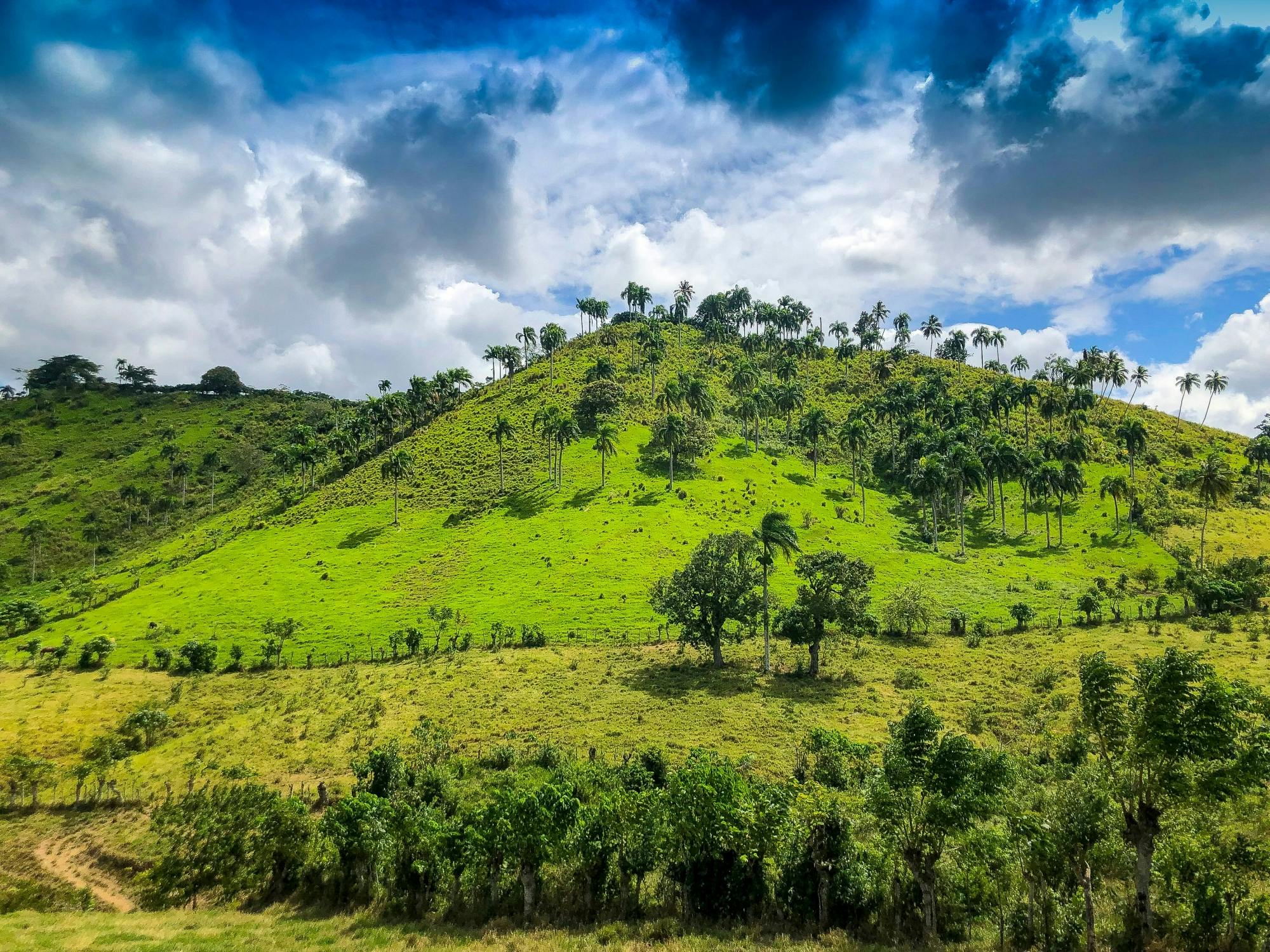 Dominican Countryside Tour