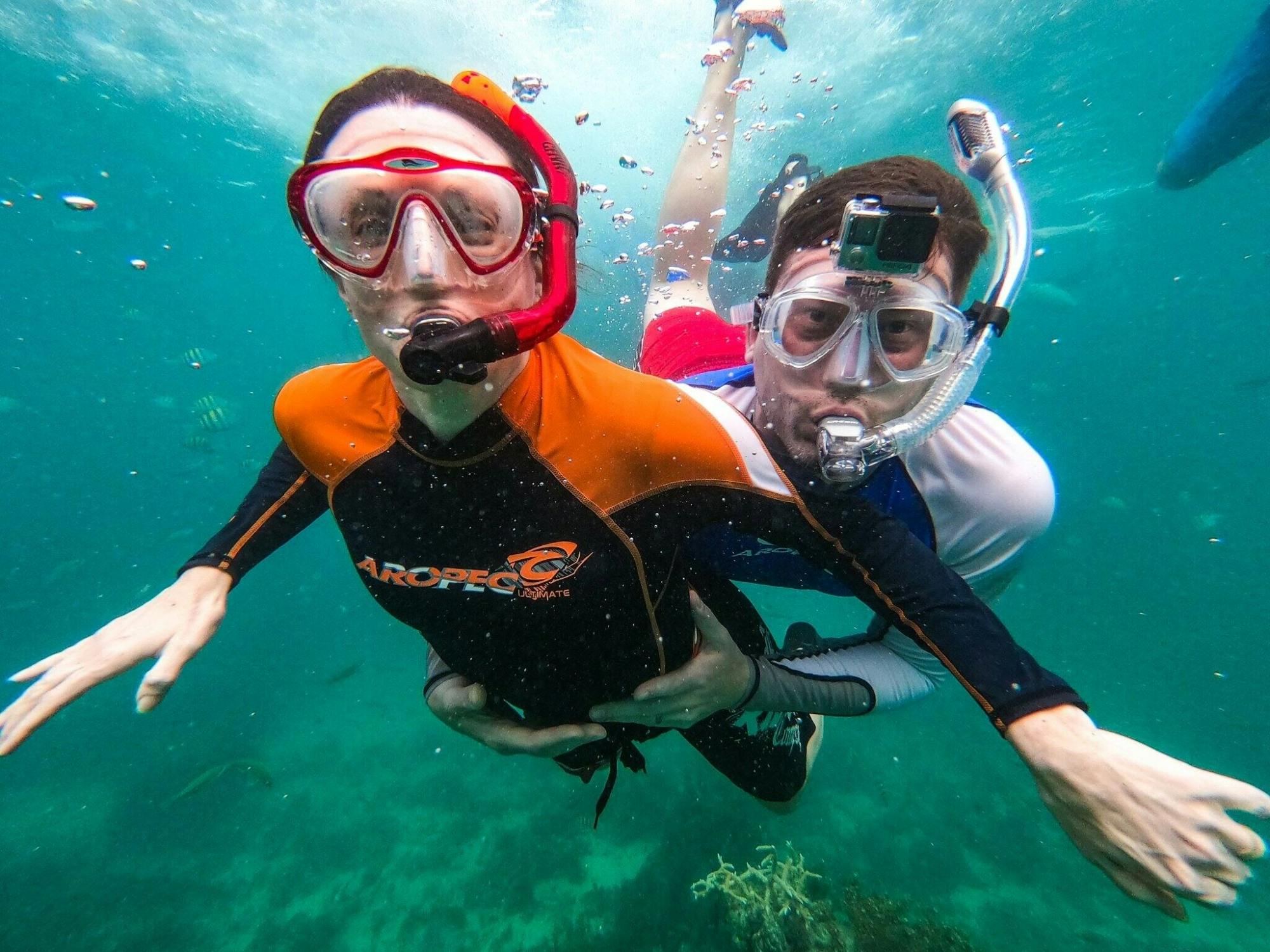 Family Snorkel Adventure on Sharky Catamaran