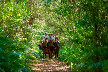 Punta Cana Horse Riding Tour in Ojos Indigenas Ecological Park